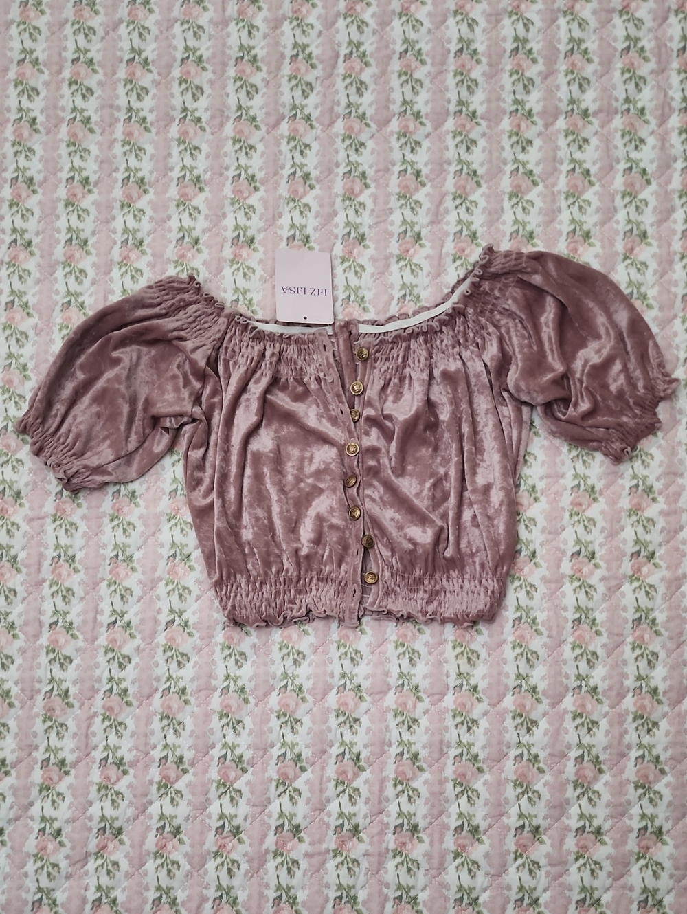 NWT LIZ LISA 🎀 Mauve Velvet Off-Shoulder Crop Top Front Button Open